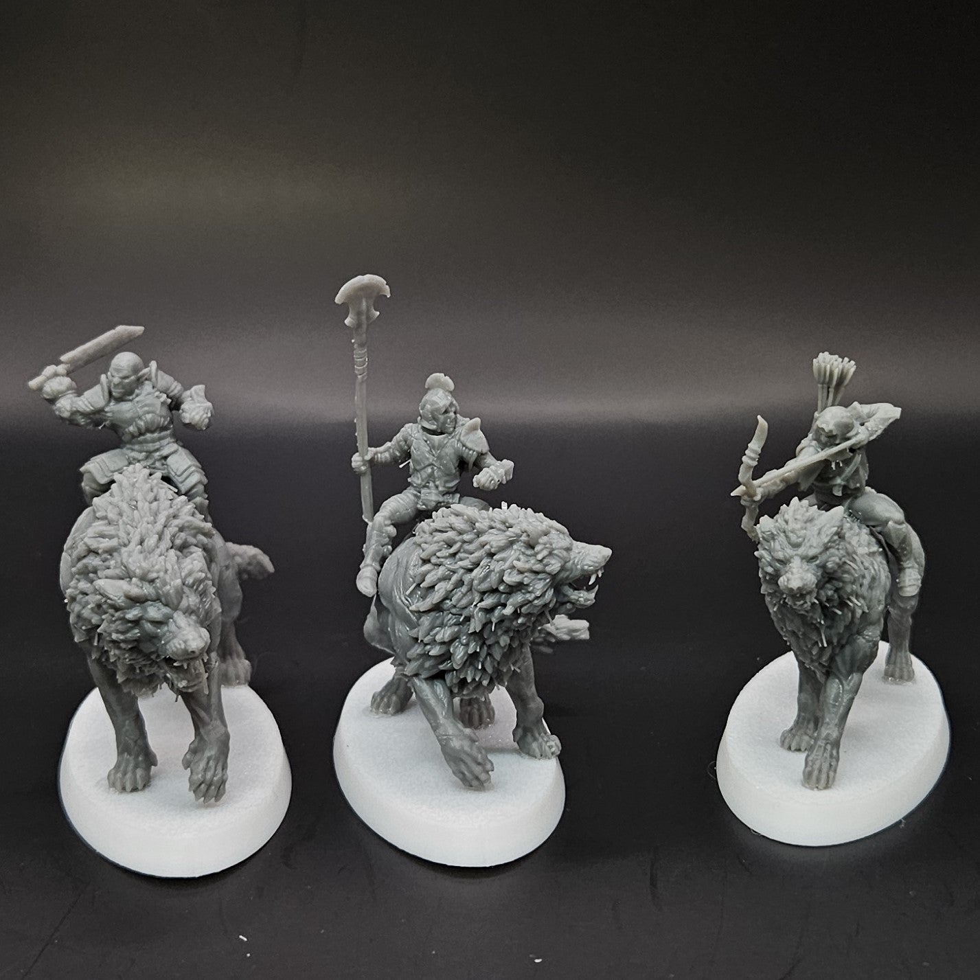 Ironmoor Warg Riders