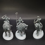 Cargar imagen en el visor de la galería, Ironmoor Warg Riders
