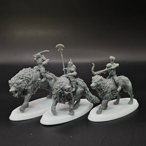 Ironmoor Warg Riders