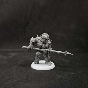 Armoured War Troll with Spear