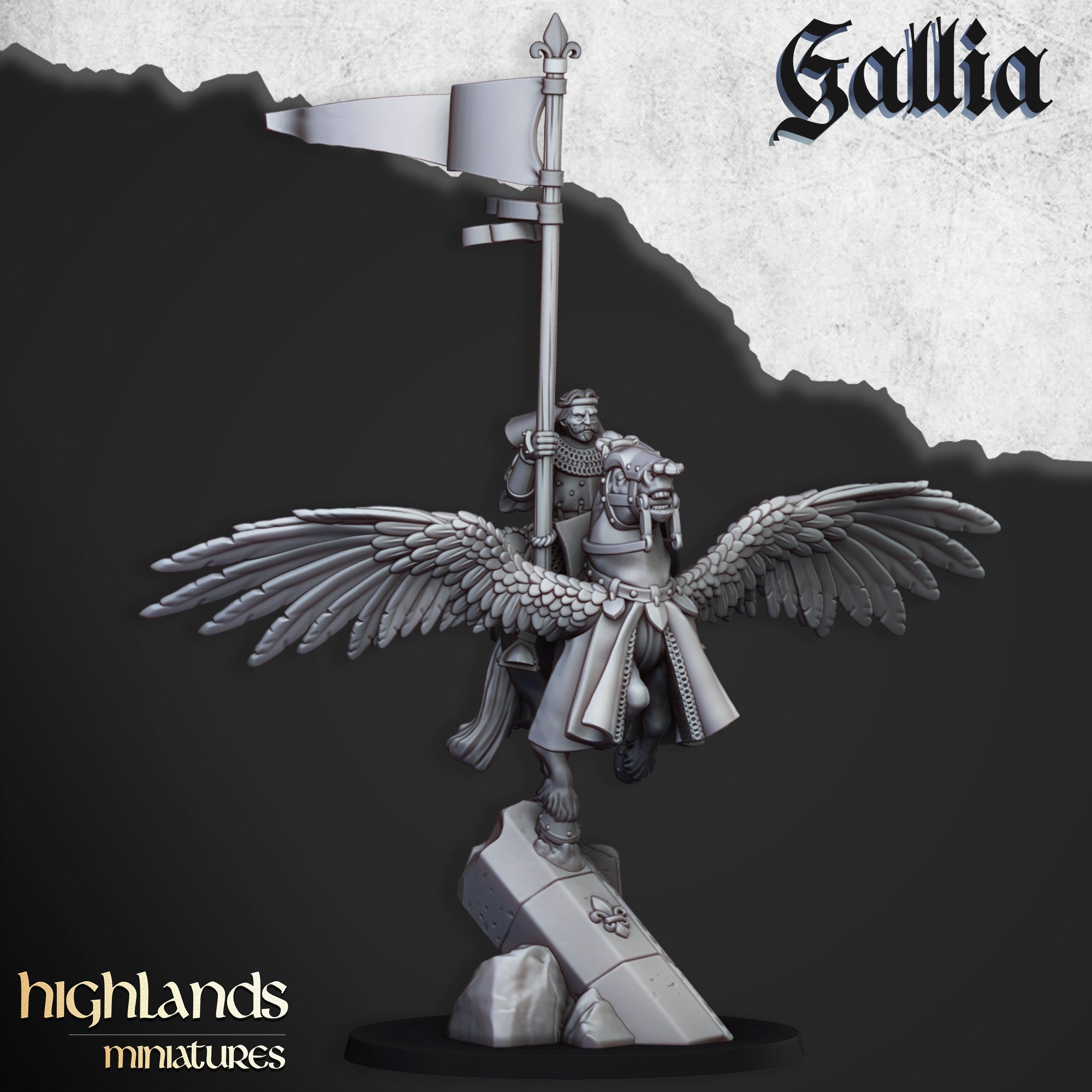 Gallia Knights on Pegasus