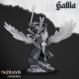 Gallia Knights on Pegasus