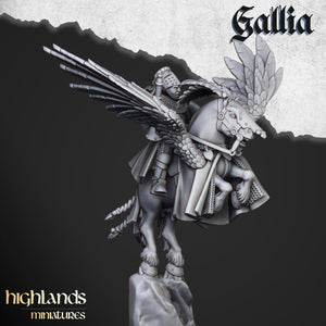 Gallia Knights on Pegasus